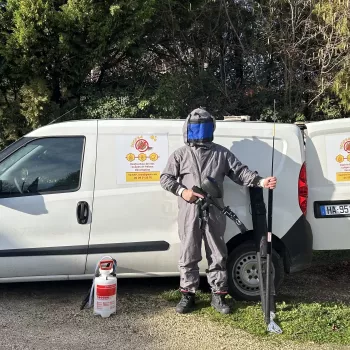 Destruction de nids guêpes et frelons à Sorgues