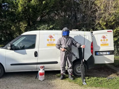 Destruction de nids guêpes et frelons à Sorgues