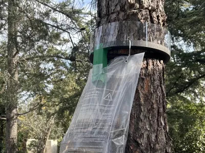 Anti Nuisibles à Sorgues