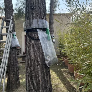 Anti Nuisibles à Sorgues