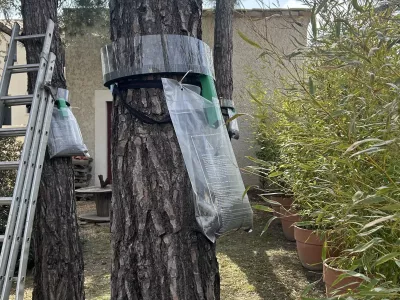 Anti Nuisibles à Sorgues