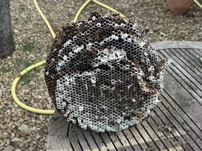 Anti Nuisibles à Sorgues